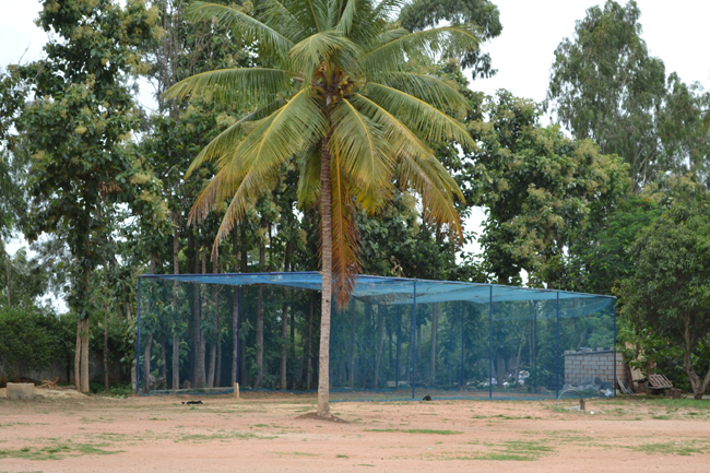 sports-gymnasium-2